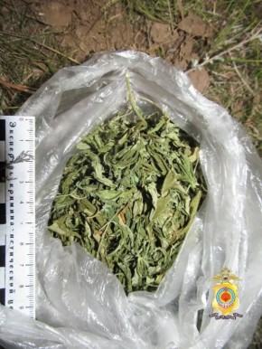 � �������� ������� ������ ��������� � ����� ��� �����