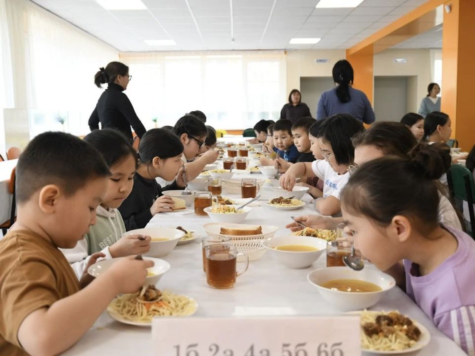 В Элисте провели мониторинг питания