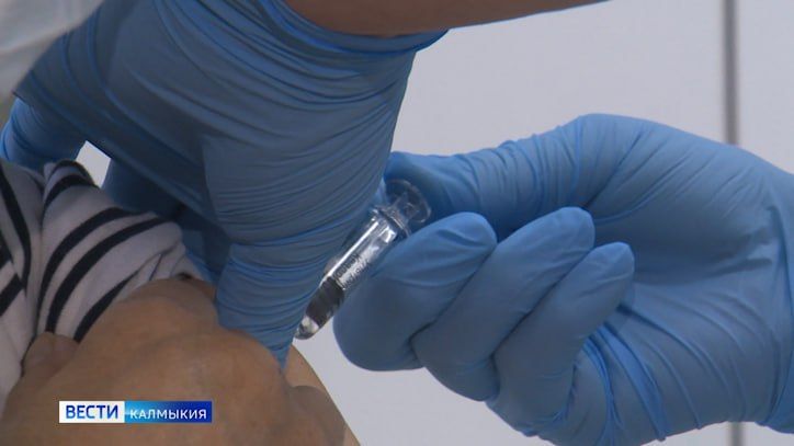 � ������ ������� ��������� ������������������� ����-������� �� ����