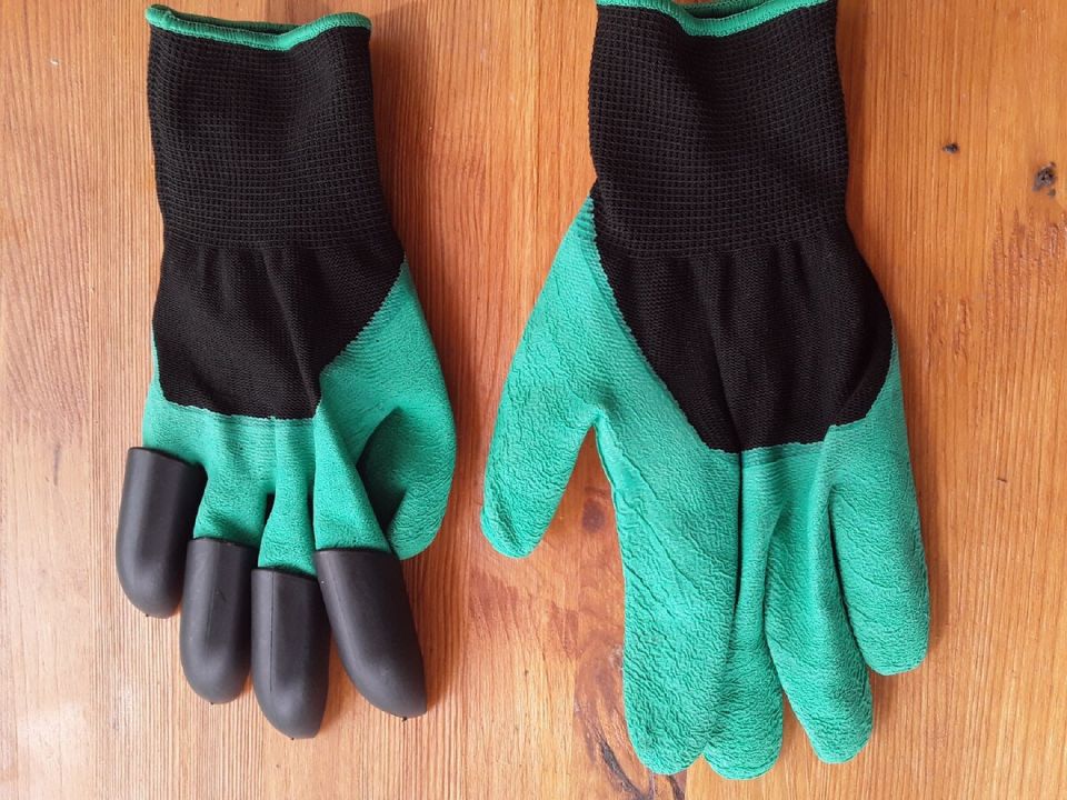 ��� ����� ������� �������� ���������� �� �������� �������