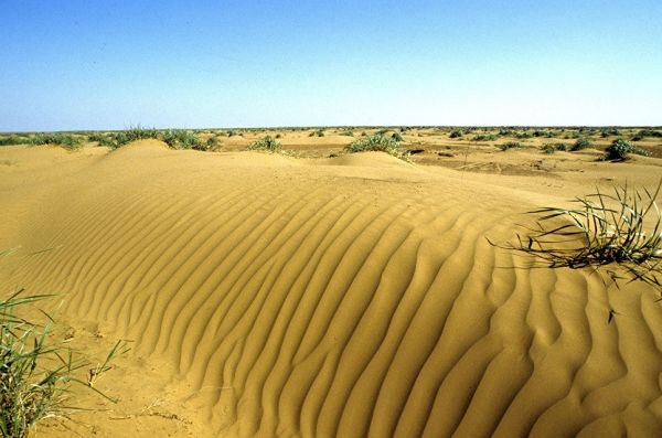 ������ �������: ������, ��� �� ������, ���� �������� ���� ��������� ����� � ���-110 ������������� ������ ���������!