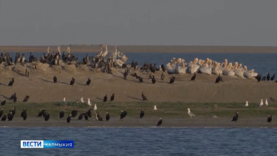 � ������ � ����������� ���� ���������� ����� ������������� ������ � ������������ ��� � ����������� �������