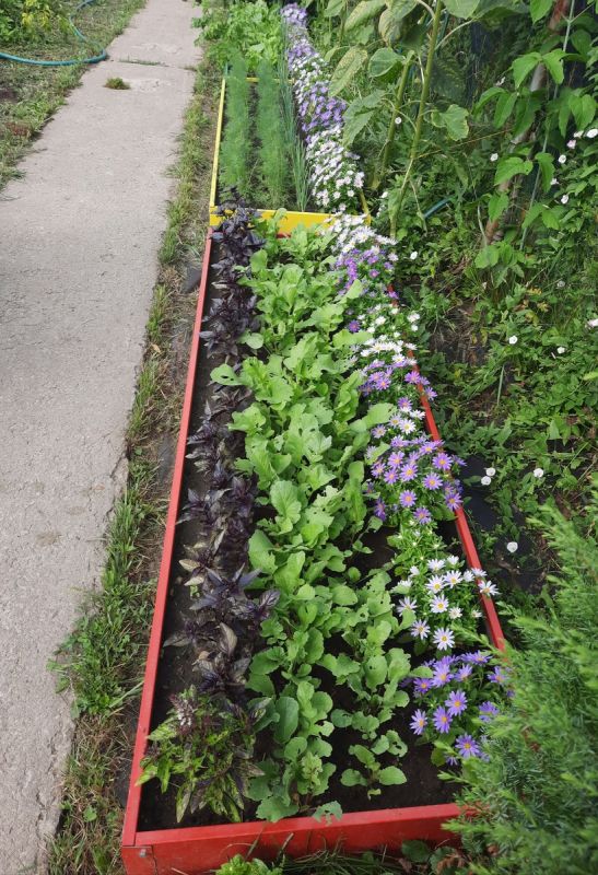 �������� ������: ��� �������� ������� ������ � �������� ���