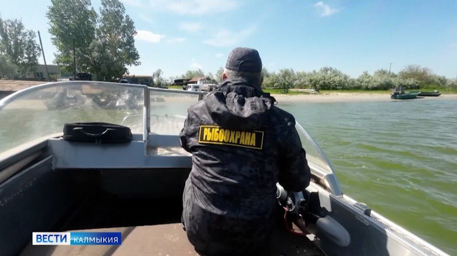 В Калмыкии до конца года запрещён любительский лов воблы и плотвы