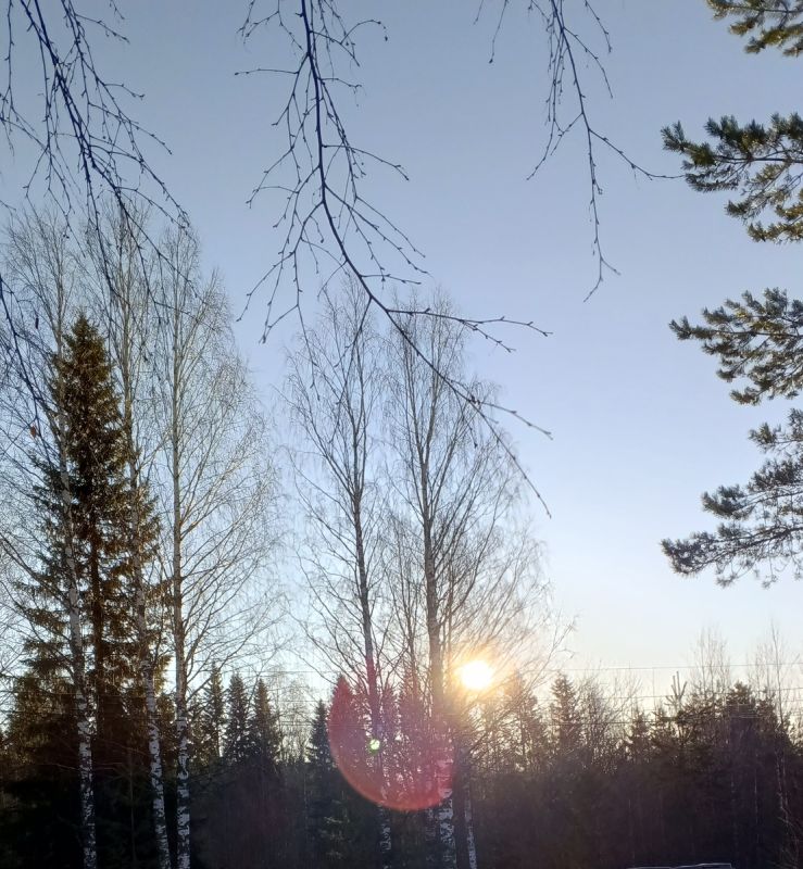 ��� �� ��������� � ���� � ������ �������: ������� ����� �����