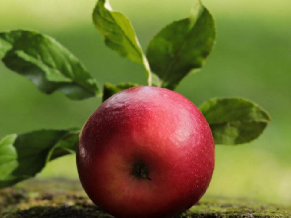 ��� ������ ������ �������� �������� �������� �����