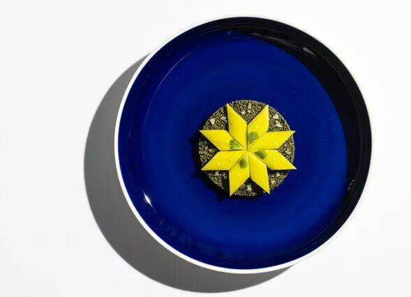 ������ ���������: ��������� ����������� �� ��������� ������� Sani