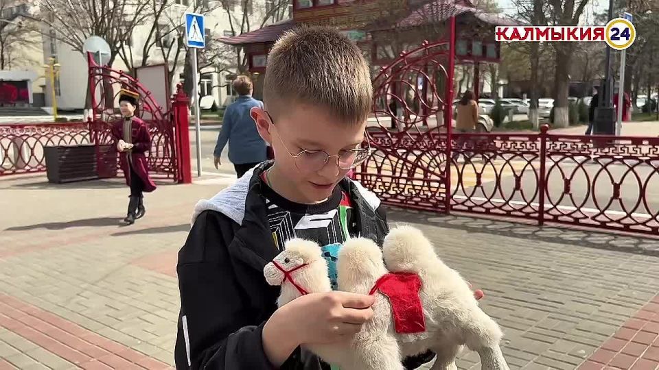 Юный путешественник из Орла, приехав на Фестиваль тюльпанов в Калмыкию, приобрёл не только яркие впечатления, но и тёплую память — игрушечного двугорбого верблюда