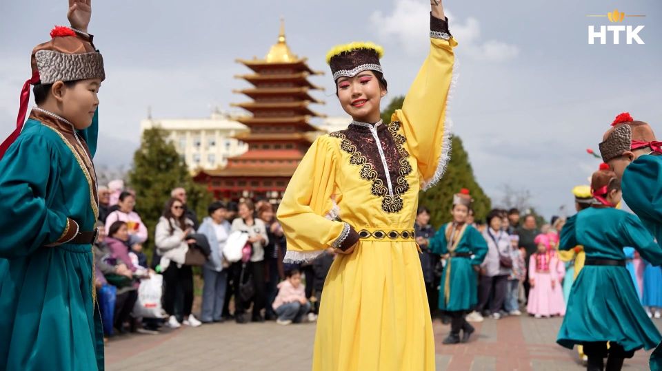 Фестиваль тюльпанов в Калмыкии стартовал