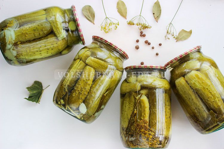 ����������� ��������� ������������ ������: ������� ������������� �� ����