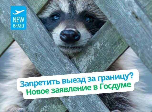 Госдума предлагает ограничить выезд за границу для россиян