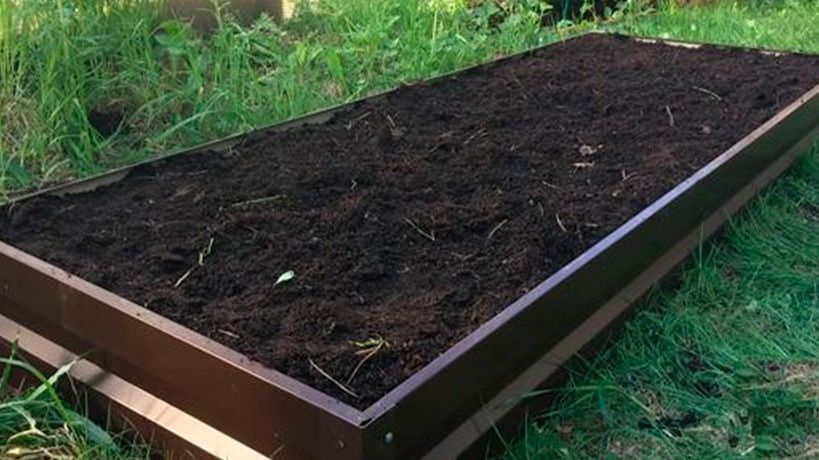 ������ ������: ������� ��������� ������ ��������� ������� �����