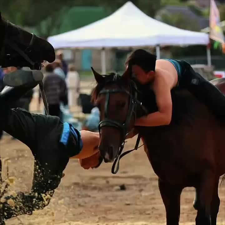 6 ������ � ������������� ���� ������