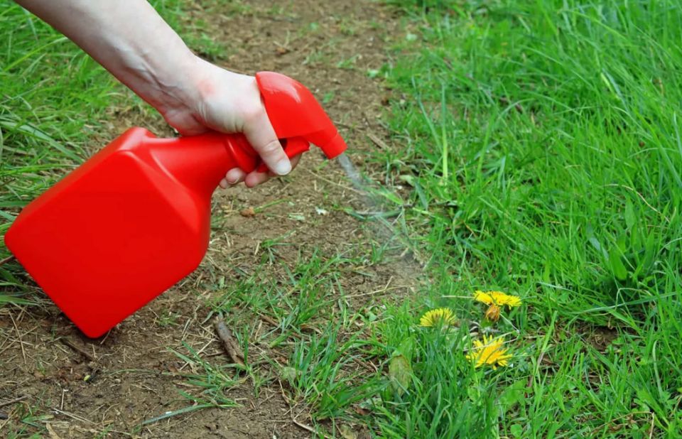 �������������� ������: ��������, ������� �� �������� ��������