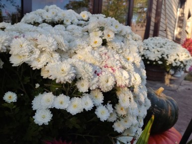 Неопытность или недосмотр? Почему важно читать до конца