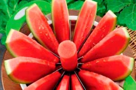 ���������� �����: ��������� ����� � �������� ��������� ����������� ���������� ������