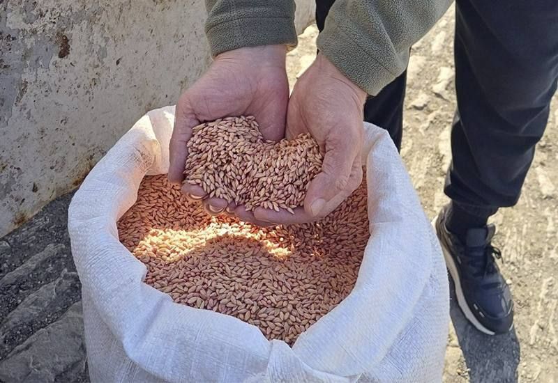 �������� ��������: 3 ����� ������ � � ��������� ��������