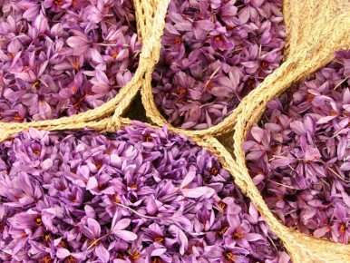 ������: ���� � ��������� ������������ ���������� ������