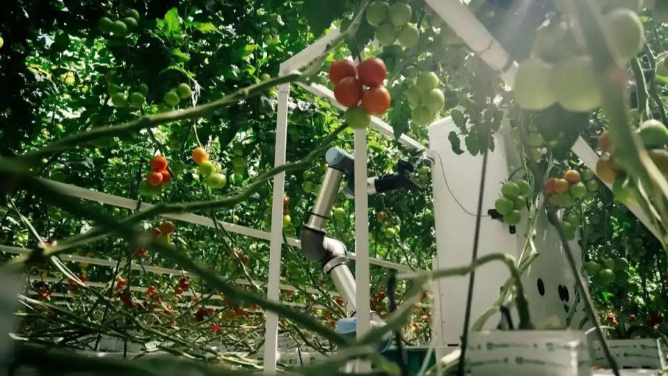 � �������� ����������� ����� ��� ��������������� ����� ������� � ��������