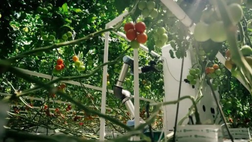 � �������� ����������� ����� ��� ��������������� ����� ������� � ��������