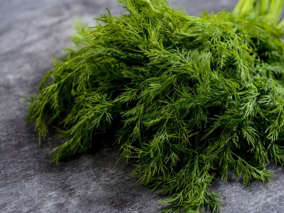 ��� ��������� ���� �������� ����������� ����� � ������� ��� ������