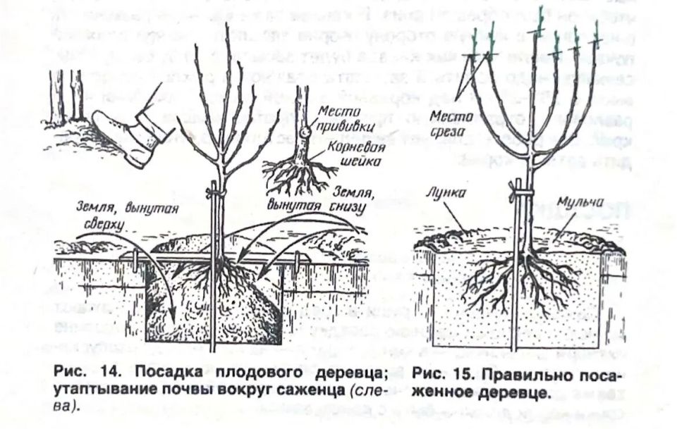 ������������ � �����: ������� �������� ������� ��������