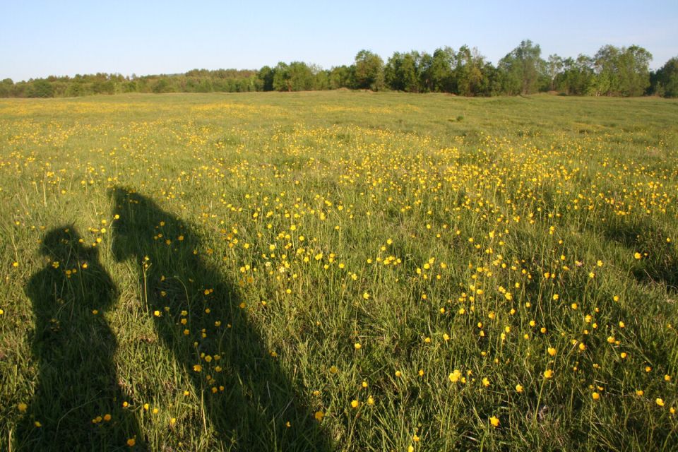 ����������� �������: ���� ��� ������������ ��� ���� � ������������