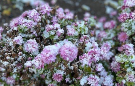 � �������� 9 � 10 ������ ��������� ���������