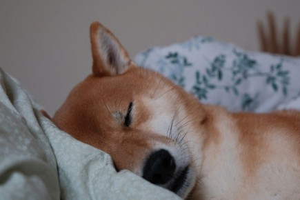 Как утренний кофе может помешать вашему сну: удивительные факты