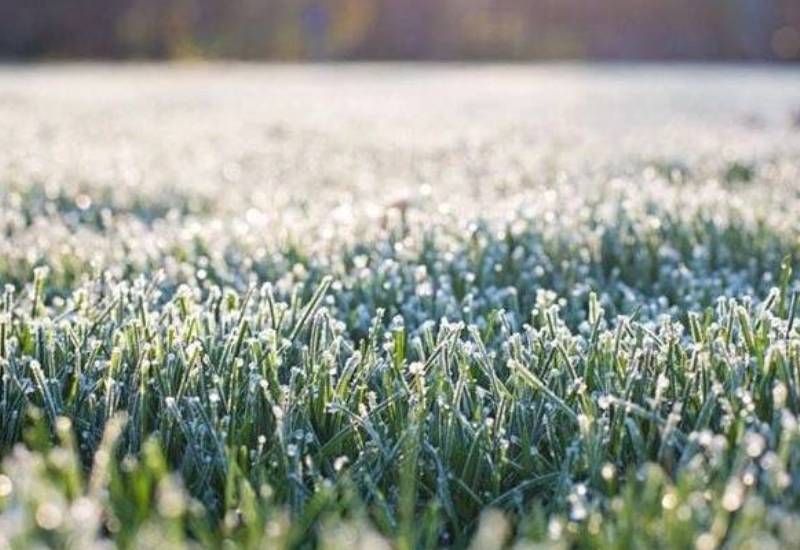 � �������� ��������� ��������� � ��������� ���