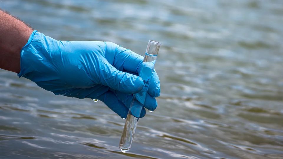 ���� � ���� ����� ���������: �������� ����������� �� ��������