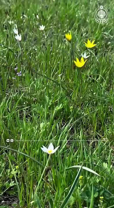 Порой, чтобы увидеть чудо, не нужно отправляться далеко