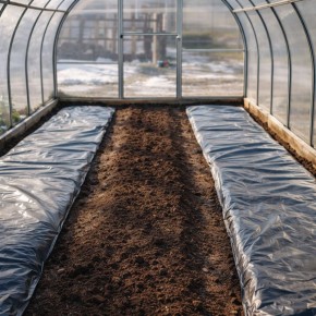 Теплица как эффективный способ подготовки почвы для рассады