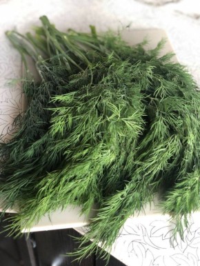 �����: ��������� � ������� ������������ ��������� � ��������� ����������