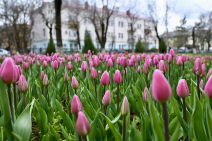 �������� ������� �� ������ � �����, �� � � ����� ������!