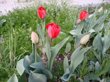 ������ ����!. ������� 9 ������, �������, �� ������������ ��� ������ �� ���� ����