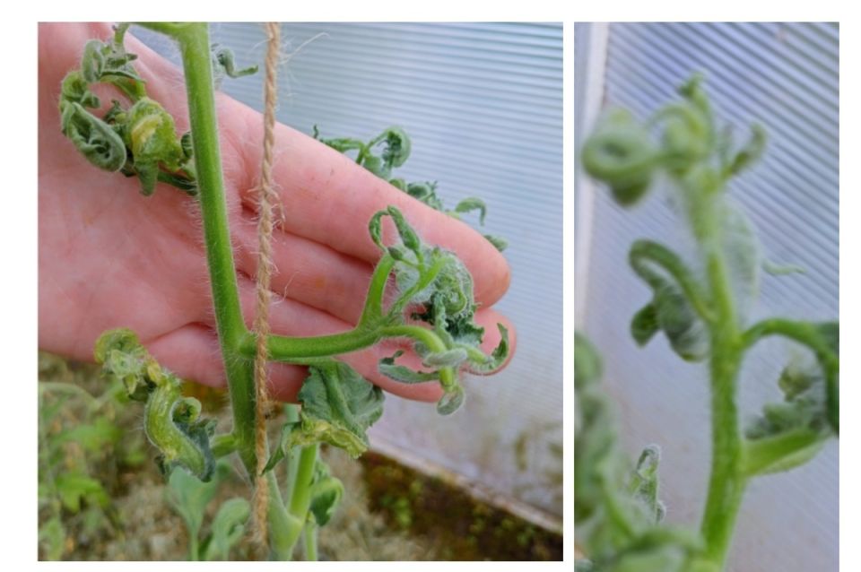 �������� ��� �������: ��� ������ � ���������� ���������� � �����