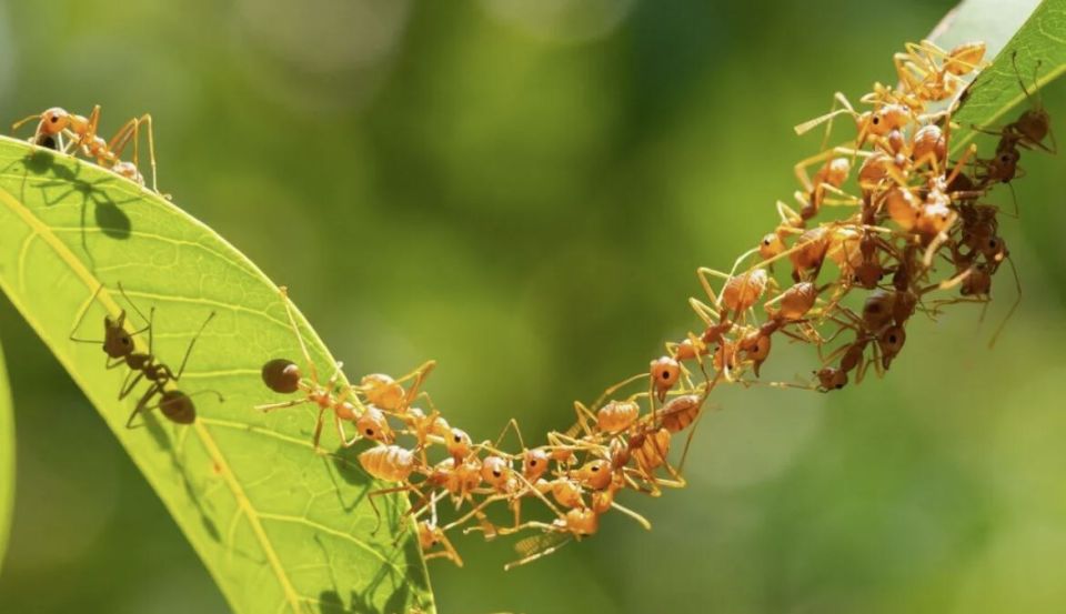 ������� � ����: ��� �������� ������ � ��������� �������