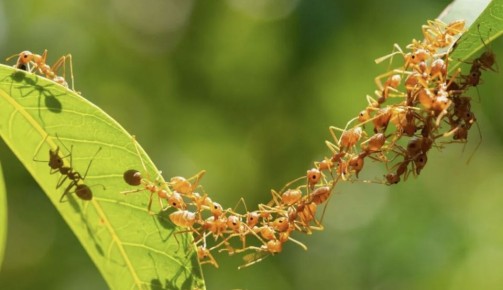 ������� � ����: ��� �������� ������ � ��������� �������