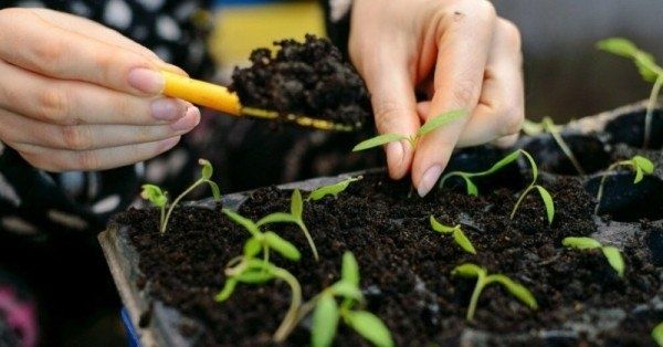 ���������� � ����� ��� �������