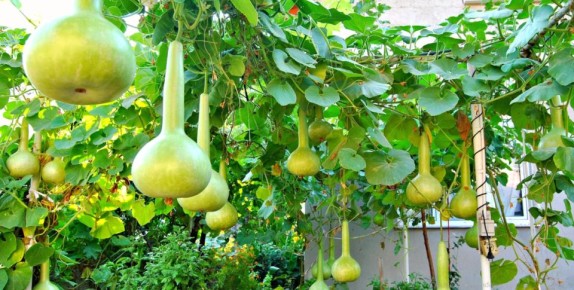 ���������: ������� �������� ����� � �������� ��������