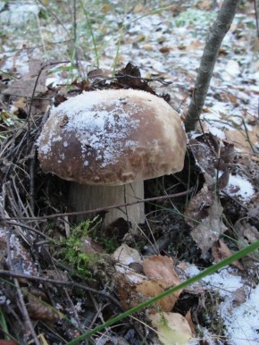 ������� ������ ��� �� �����!