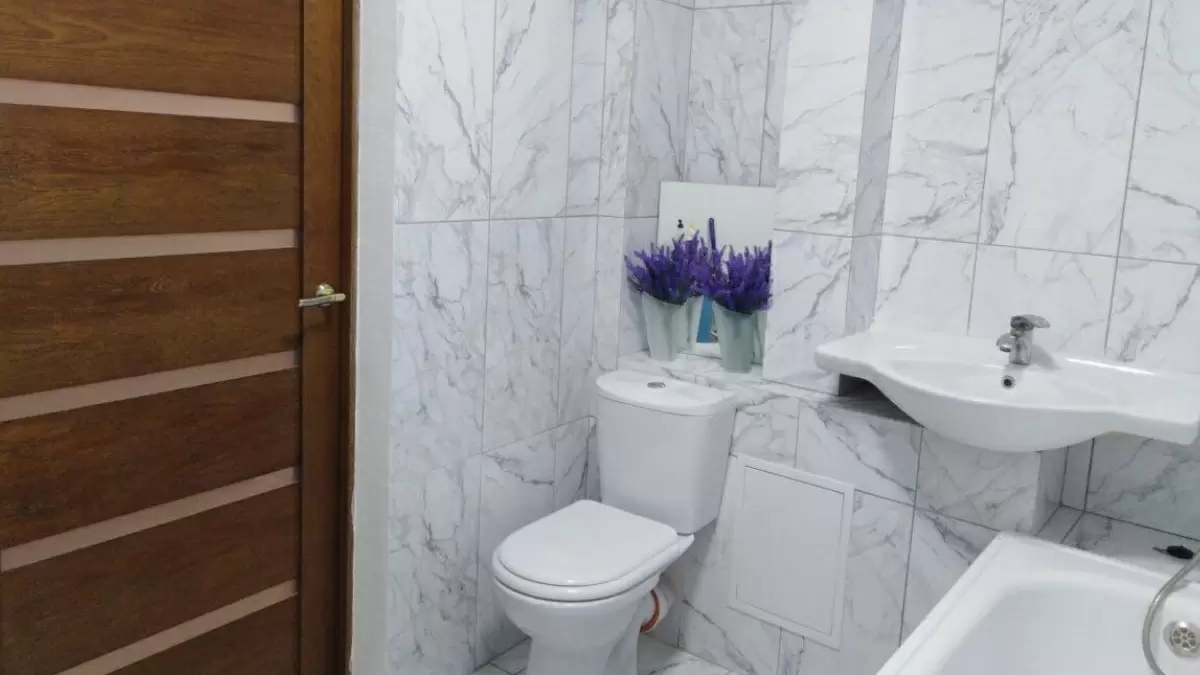 Как быстро решить проблему с засорившимся унитазом