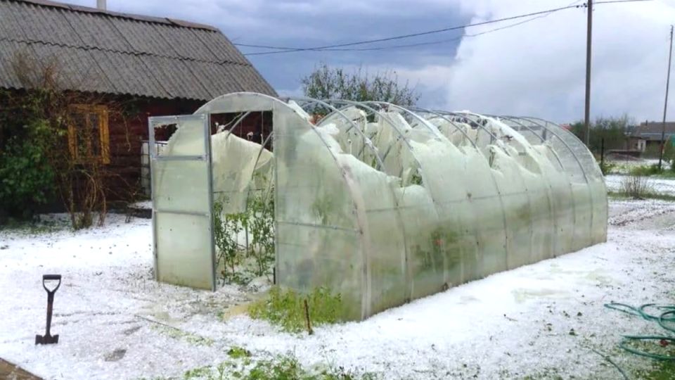 ������������ ������: ��� ���������� ���������� ������ ����