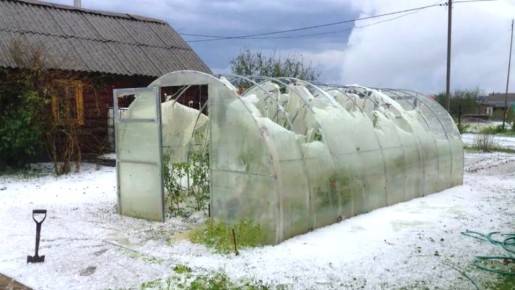 Неприятности соседа: как злорадство обернулось против него