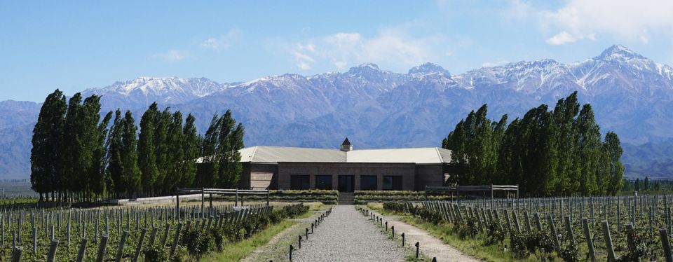 ���� ������ �����: �������� ��� ���� ���������� �����