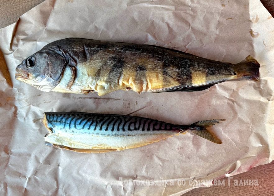 ����� � �������� �����: ��� ������� ���� ������������ � ���������� ��������