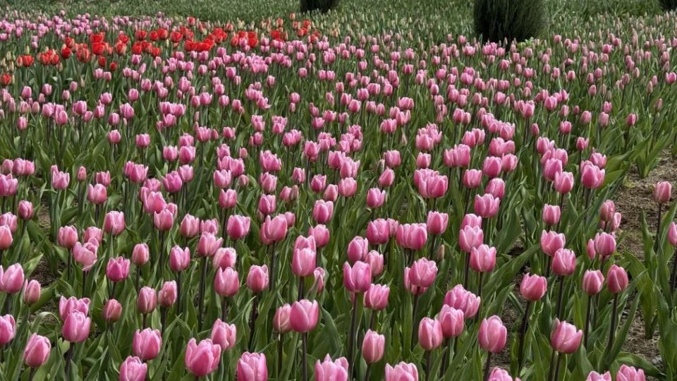 ������ ����!. ������� 11 ������, �������, �� ������������ ��� ������ �� ���� ����