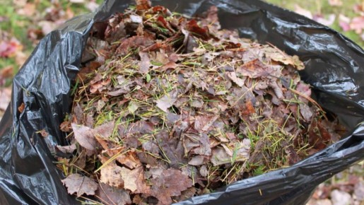 ������ ����� ���������� � ��������: ������� ����������, ����������� ��������