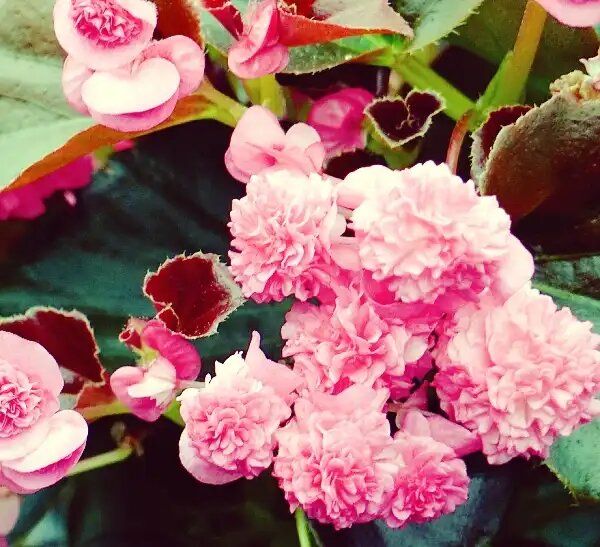 ������������� �������: ������� ����� � ����������� ��� ���������� ���������